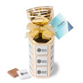 Chocolate Foiled Squares Gift Boxes
