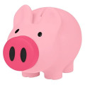 Payday Piggy Bank
