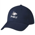 Price Buster Cap