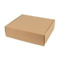 Extra Large Box Mailer