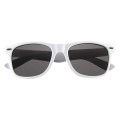 Polarized Malibu Sunglasses