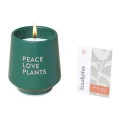 Modern Sprout® Rooted Candle