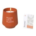 Modern Sprout® Rooted Candle