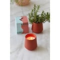 Modern Sprout® Rooted Candle