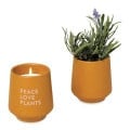 Modern Sprout® Rooted Candle