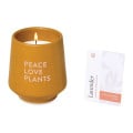 Modern Sprout® Rooted Candle