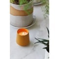 Modern Sprout® Rooted Candle