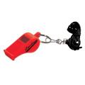 Whistle Keytag