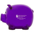 Mr. Piggy Bank