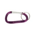 Small Carabiner