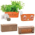 Wall Sprouts Indoor Garden Blossom Kit