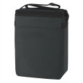 Budget 12 Pack Kooler
