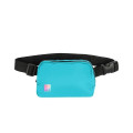 Anywhere Belt Bag