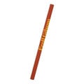Jumbo Untipped Pencil
