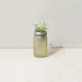 Modern Sprout® Indoor Herb Garden Kit