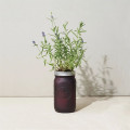 Modern Sprout® Indoor Herb Garden Kit