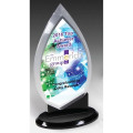 Century Acrylic Award