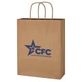 Kraft Paper Brown Shopping Bag - 10" x 13"