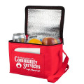 Cool-It Non-Woven Insulated Cooler Bag