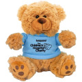 6  Plush Teddy Bear With Choice of T-Shirt Color