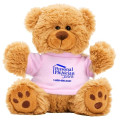 6  Plush Teddy Bear With Choice of T-Shirt Color