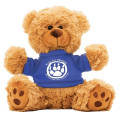 6  Plush Teddy Bear With Choice of T-Shirt Color