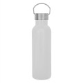 28 OZ. TIPTON STAINLESS STEEL BOTTLE