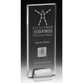 Acrylic Award with Chrome Metal Base