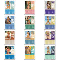 Full Color Stick Up, Swimsuit Grid 2023 Calendar