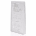 Acrylic Glow Award