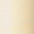 BIC® Clic Stic® Pen