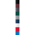 BIC® ip Roller Pen