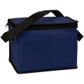 Non-Woven Cooler Bag