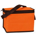 Non-Woven Cooler Bag
