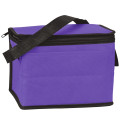 Non-Woven Cooler Bag
