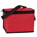 Non-Woven Cooler Bag