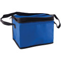 Non-Woven Cooler Bag