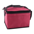 Non-Woven Cooler Bag