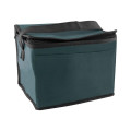 Non-Woven Cooler Bag
