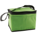 Non-Woven Cooler Bag