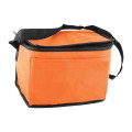 Non-Woven Cooler Bag