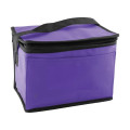 Non-Woven Cooler Bag