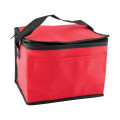 Non-Woven Cooler Bag