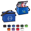 Non-Woven Cooler Bag