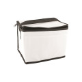 Non-Woven Cooler Bag