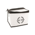 Non-Woven Cooler Bag