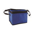 Non-Woven Cooler Bag