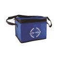 Non-Woven Cooler Bag