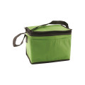 Non-Woven Cooler Bag
