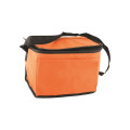 Non-Woven Cooler Bag